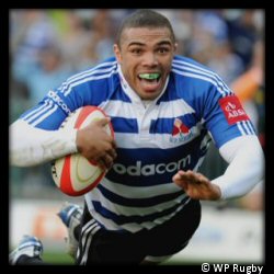 Currie Cup Semi Final Western Province vs Vodacom Free State Cheetahs